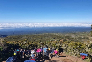 10 days Kilimanjaro climbing Lemosho route