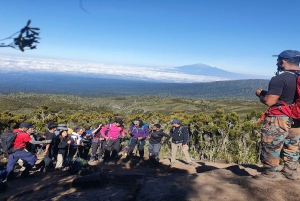 10 days Kilimanjaro climbing Lemosho route
