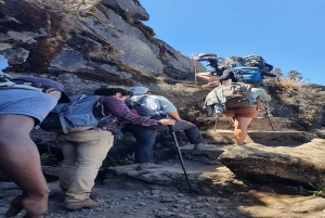 10 days Kilimanjaro climbing Lemosho route