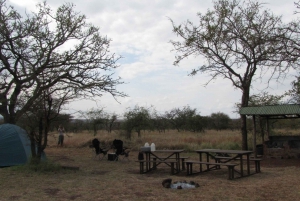 From Arusha: 10-Day Tanzania Highlights Private Tour