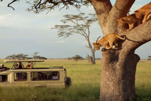 12 Days Kenya & Tanzania Combo Budget Safari On a 4x4 Jeep
