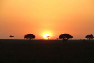 12 days safari around mt Kilimanjaro off the beaten track