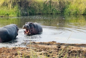 12 Days Tanzania Adventure: Safari, Culture & Mountains