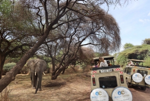14 Day Complete Private Safari Round trip Northern Circuit