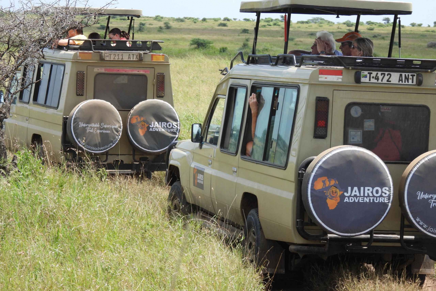 Safari epico di 14 giorni con formula All-Inclusive di lusso e Zanzibar