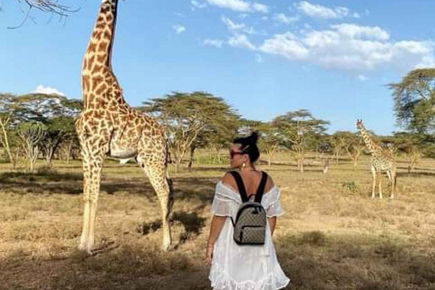 1-dniowa wycieczka Park Narodowy Arusha i piesze safari prywatnie