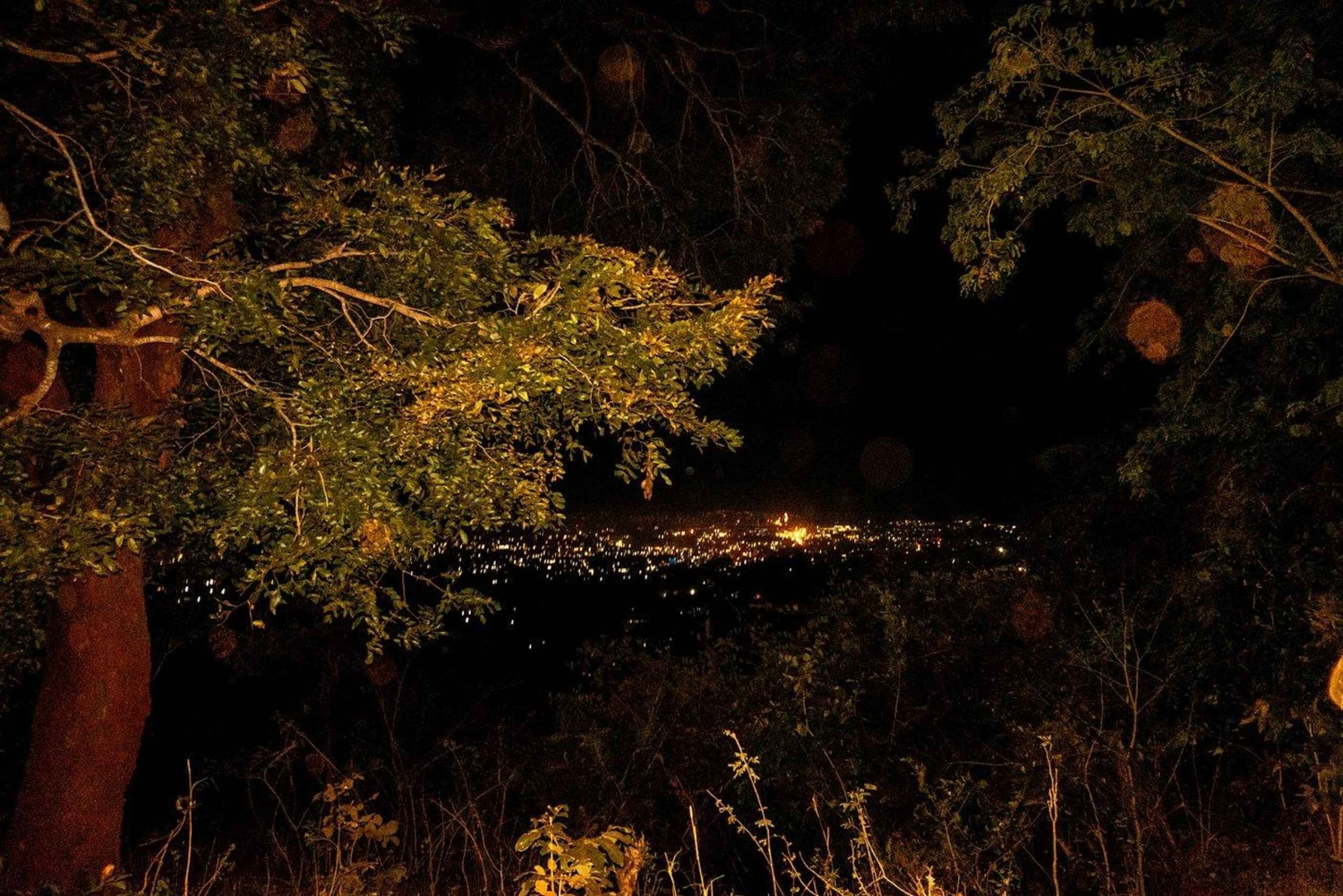 2-day, 1-night adventure in the Uluguru Mountains, starting from Dar