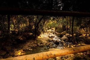 Excursie van 2 dagen en 1 nacht in de Uluguru Mountains vanuit Dar