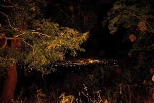 2-day, 1-night adventure in the Uluguru Mountains, starting from Dar