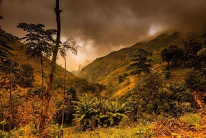 2-day, 1-night adventure in the Uluguru Mountains, starting from Dar
