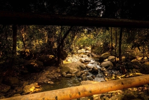 2-day, 1-night adventure in the Uluguru Mountains, starting from Dar