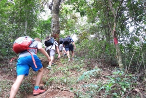 2-day, 1-night adventure in the Uluguru Mountains, starting from Dar