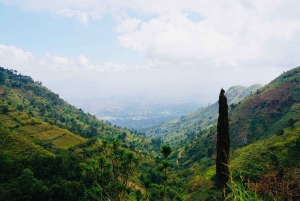 2-day, 1-night adventure in the Uluguru Mountains, starting from Dar