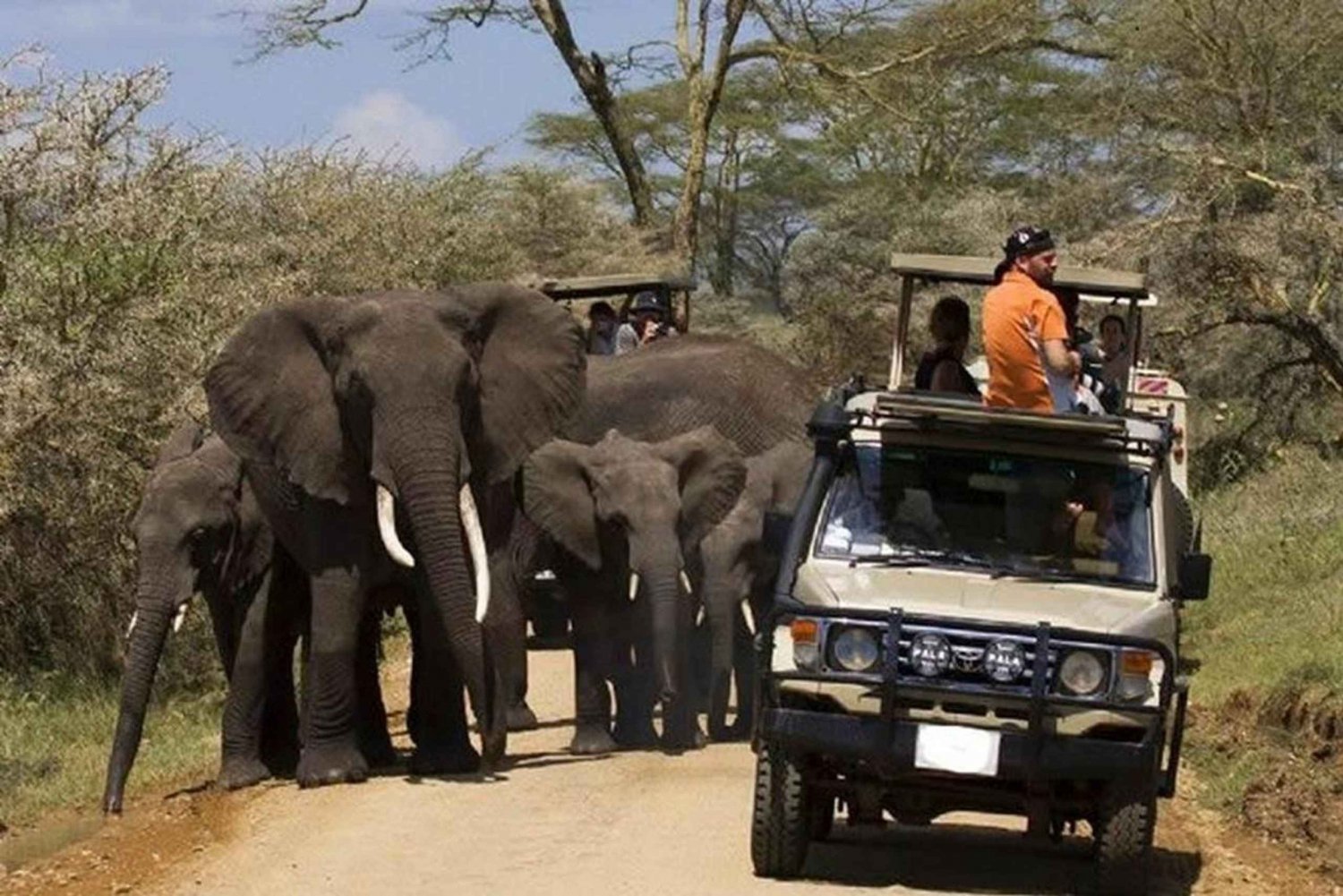 2 DAY-ADVENTURE SAFARI IN TANZANIA