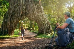 Safari de 2 jours à la découverte des merveilles naturelles de l'Afrique