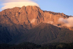 Safari de 2 jours à la découverte des merveilles naturelles de l'Afrique