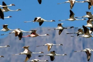 Safari de 2 jours à la découverte des merveilles naturelles de l'Afrique