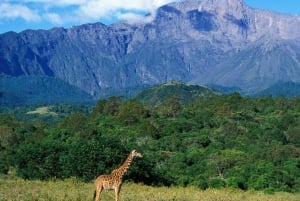 Safari de 2 jours à la découverte des merveilles naturelles de l'Afrique
