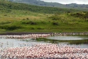Safari de 2 jours à la découverte des merveilles naturelles de l'Afrique