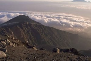 Safari de 2 jours à la découverte des merveilles naturelles de l'Afrique