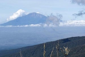 Safari de 2 jours à la découverte des merveilles naturelles de l'Afrique