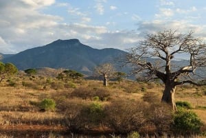 Safari de 2 jours à la découverte des merveilles naturelles de l'Afrique