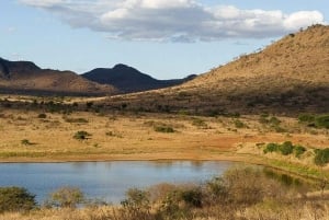 Safari de 2 jours à la découverte des merveilles naturelles de l'Afrique