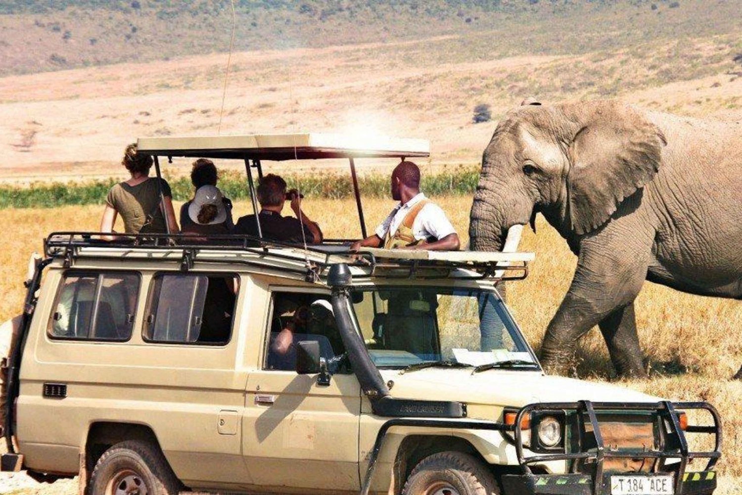 2 Day Luxury Safari from & Back to Dar es Salaam with Flight