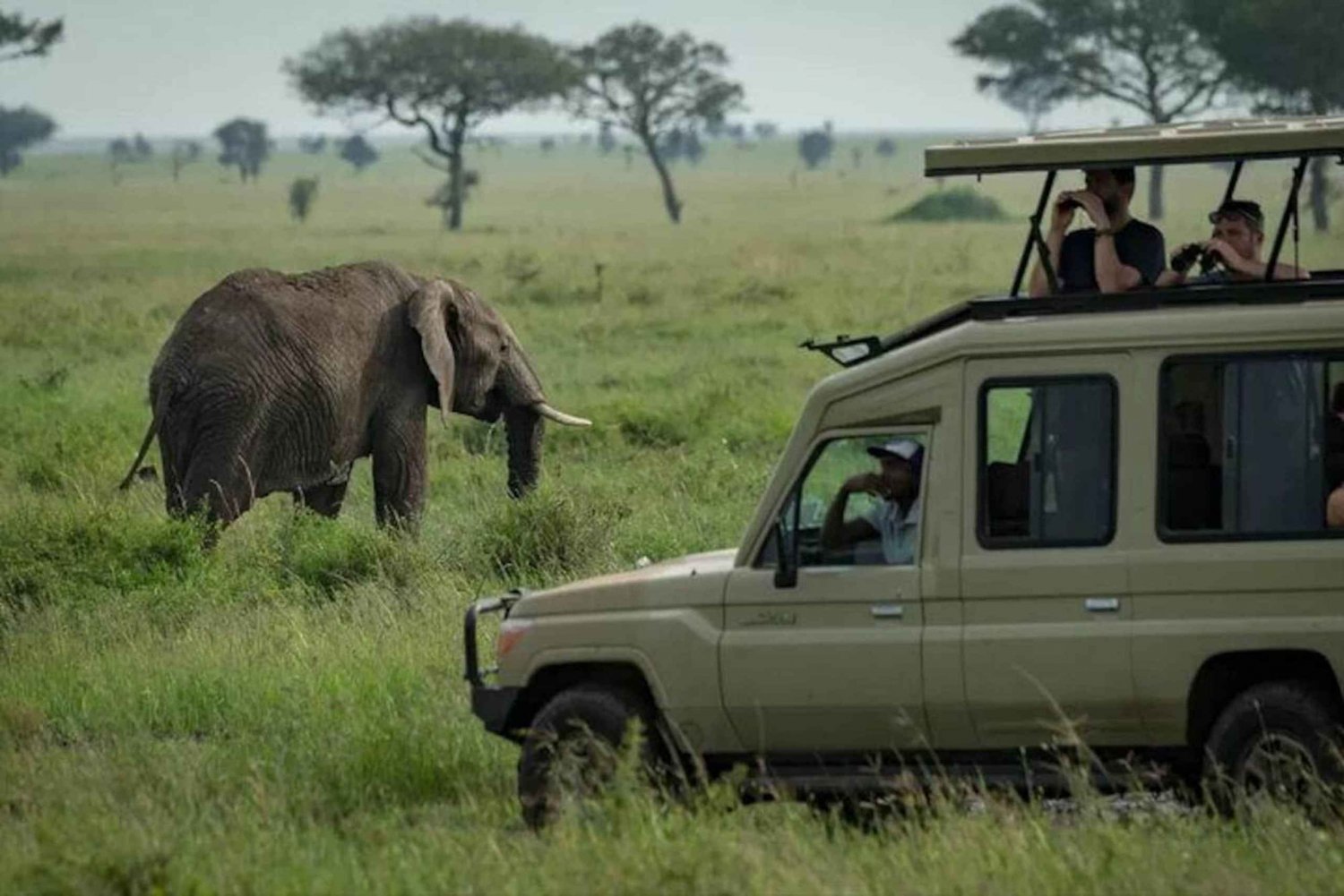 2-Day Luxury Safari - Tarangire and Ngorongoro with Flights