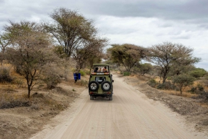 2-Day Luxury Safari - Tarangire and Ngorongoro with Flights