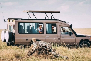 2-Day Luxury Safari - Tarangire and Ngorongoro with Flights