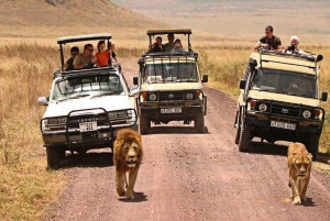 2-Day Luxury Safari - Tarangire and Ngorongoro with Flights