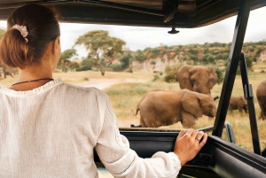 2-Day Luxury Safari - Tarangire and Ngorongoro with Flights