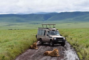 2-Day Luxury Safari - Tarangire and Ngorongoro with Flights