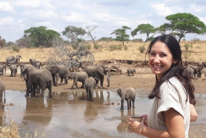 2-Day Luxury Safari - Tarangire and Ngorongoro with Flights