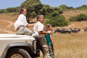 2-Day Luxury Safari - Tarangire and Ngorongoro with Flights