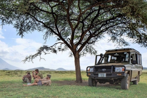 2-Day Luxury Safari - Tarangire and Ngorongoro with Flights