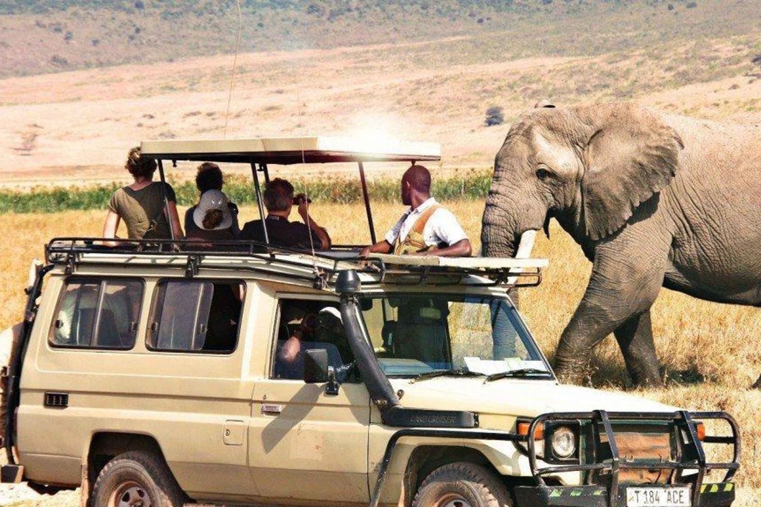 2-Day Private Luxury Safari from Zanzibar with Flights