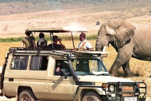 2-Day Private Luxury Safari from Zanzibar with Flights