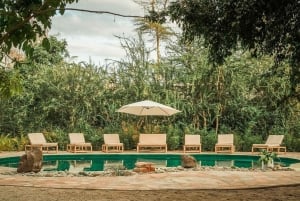 2-Day Private Luxury Safari from Zanzibar with Flights