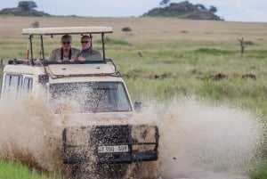 2-Day Private Luxury Safari from Zanzibar with Flights