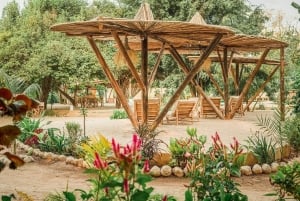 2-Day Private Luxury Safari from Zanzibar with Flights