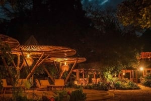 2-Day Private Luxury Safari from Zanzibar with Flights