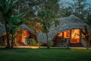 2-Day Private Luxury Safari from Zanzibar with Flights