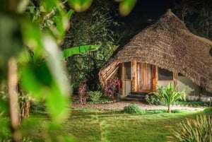 2-Day Private Luxury Safari from Zanzibar with Flights