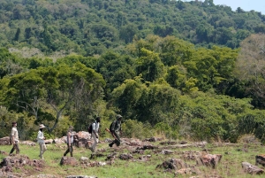 2-dagers safari fra Chato til Rubondo Island med sjimpansetrekking