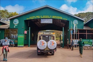 ザンジバル発タランギレ＆ンゴロンゴロクレーターへの2日間サファリツアーをご案内いたします