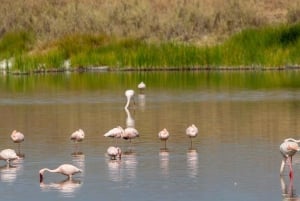 Safári de carro e barco de 2 dias na Reserva de Selous