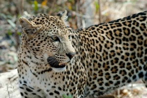 2-Day Selous Game Reserve Car & Boat Safari