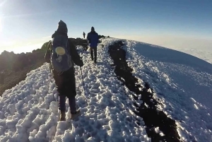 2-Day Short Mount Kilimanjaro Trek
